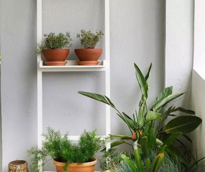 Ekies All Senses Resort