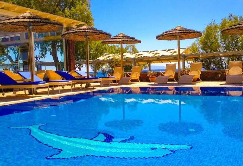 Elixir Del Mar On The Beach