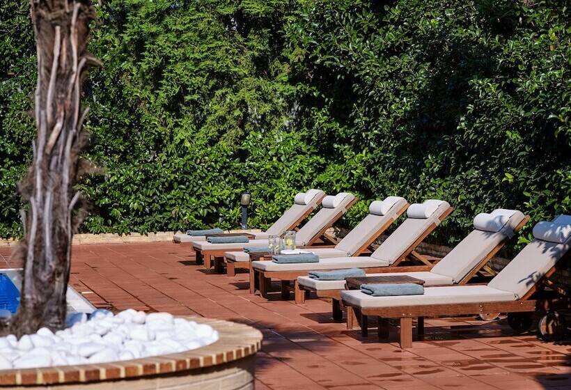 فندق Blazer Suites