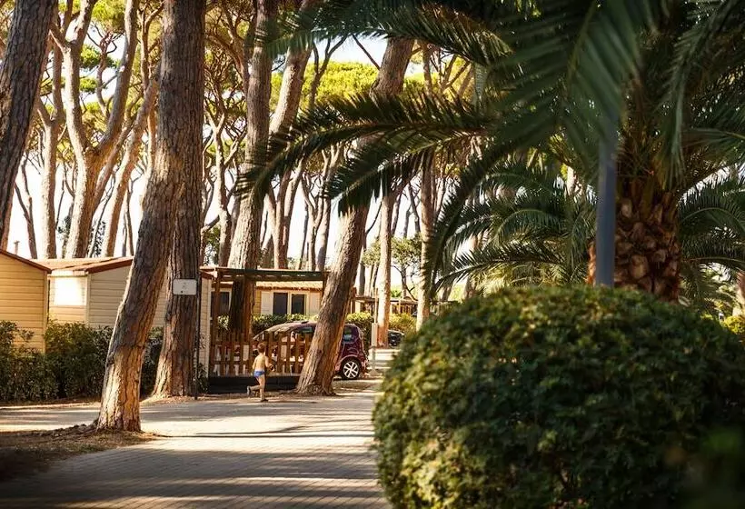 Отель Hu Park Albatros Village