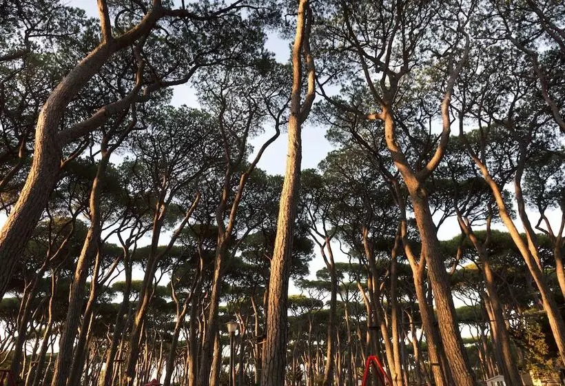 Отель Hu Park Albatros Village