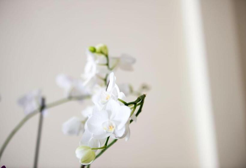 Отель Internazionale