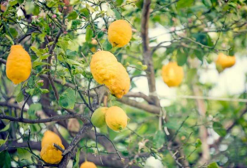 Отель Internazionale