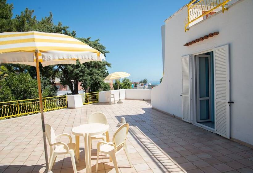 Отель Internazionale