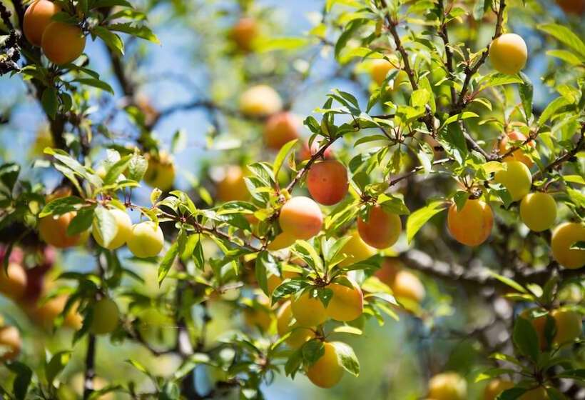 Отель Internazionale