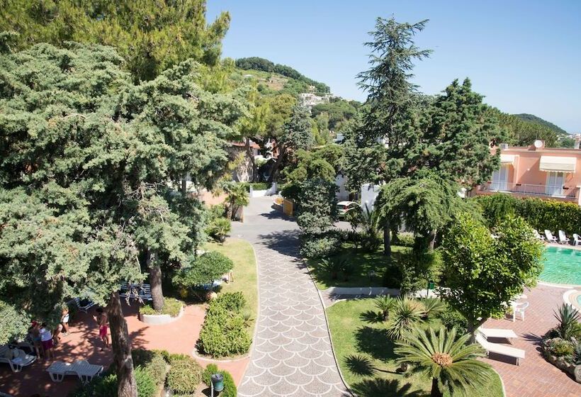 Отель Internazionale