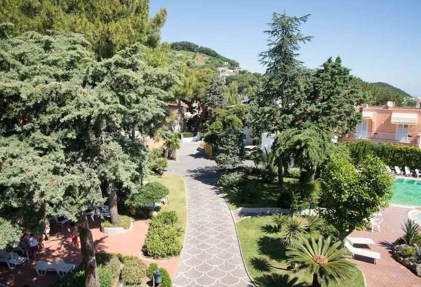 酒店 Internazionale