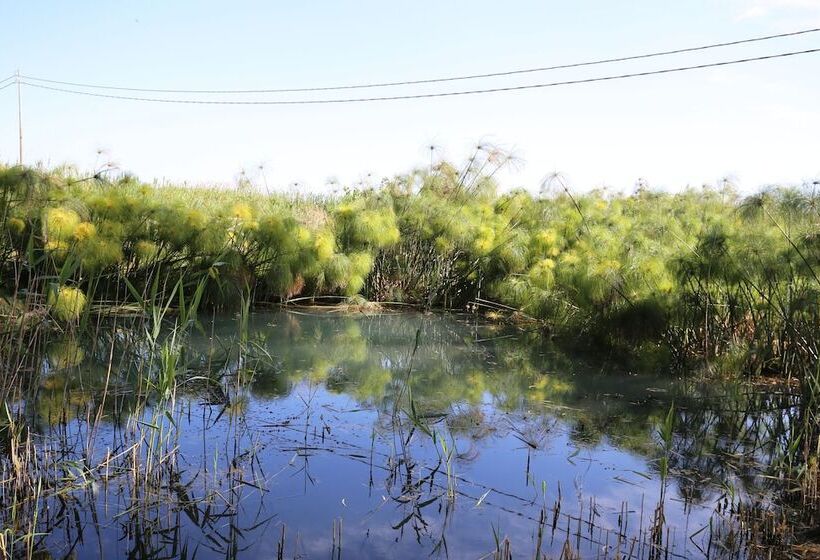 בית מלון כפרי Villa Dei Papiri Fonte Ciane
