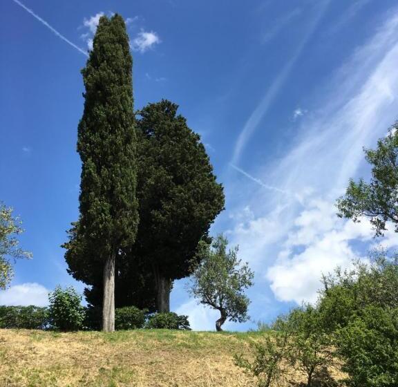 فندق Albergo Le Sorgenti