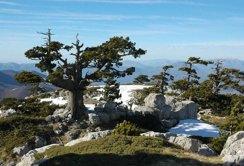 Best Western Hotel Imperiale