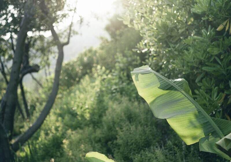 Отель Lefay Resort & Spa Lago Di Garda