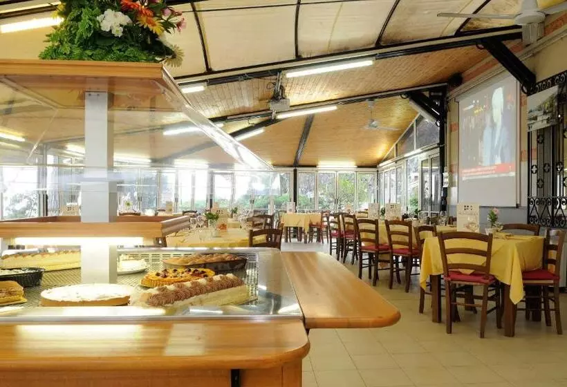 Отель Puntabella