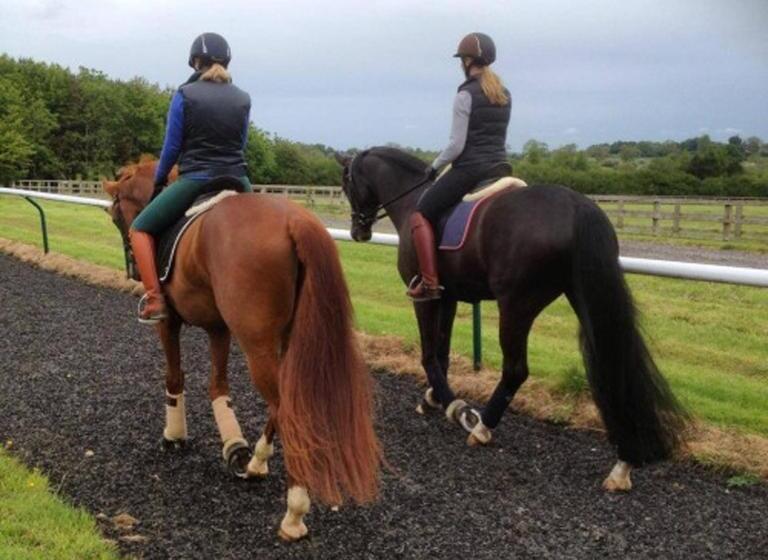 فندق Villa d'Azeglio