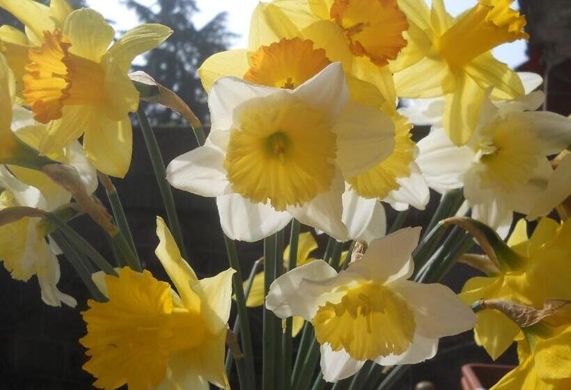 فندق Villa d'Azeglio