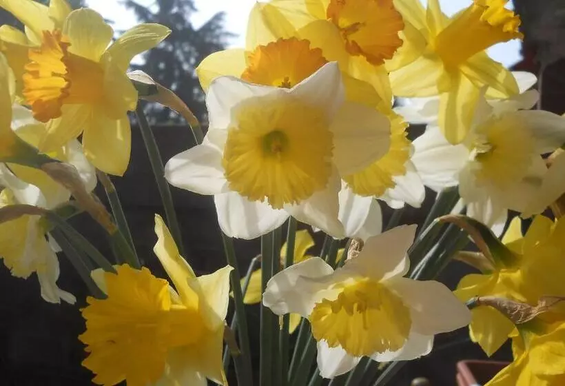 Hotel Villa d'Azeglio