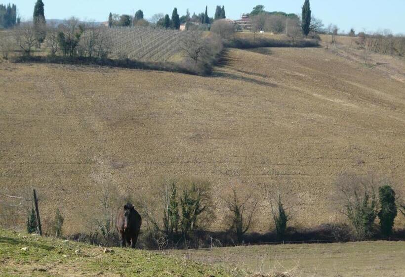 田舎風ホテル Casalgallo