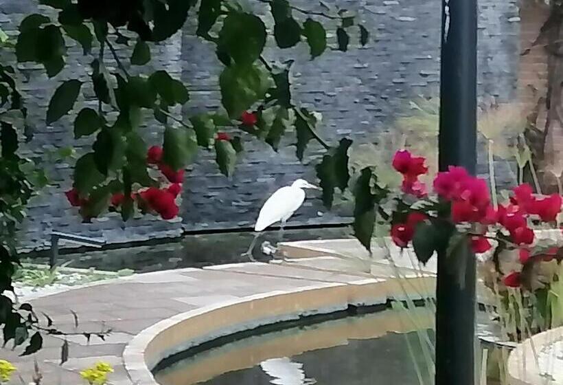 فندق Santo Refugio Heritage