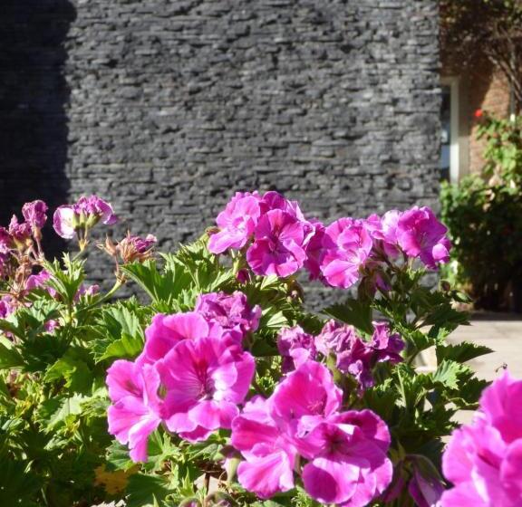 فندق Santo Refugio Heritage