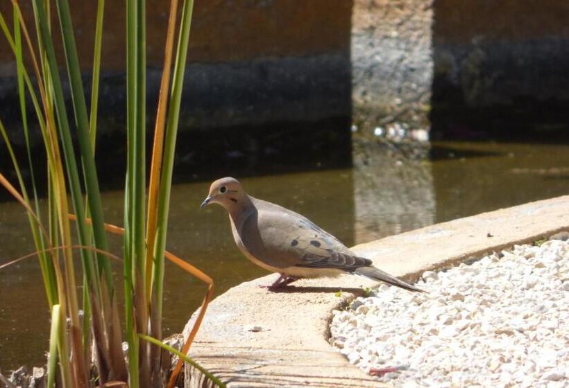 فندق Santo Refugio Heritage