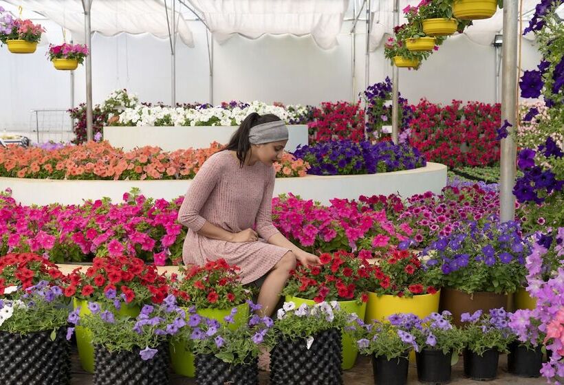 בית מלון כפרי Sunray Village Resort