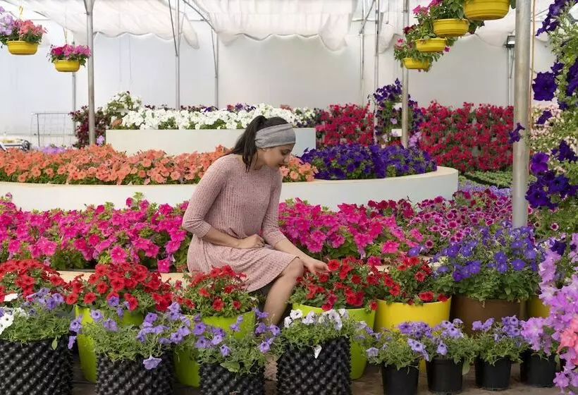 Hotelli Sunray Village Resort