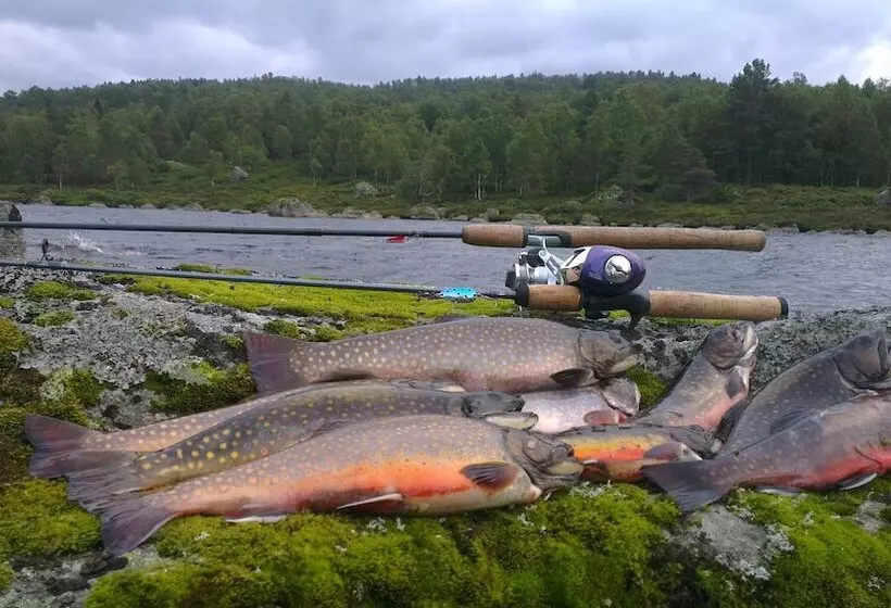 Majatalo Heddan Gard Gjestegard