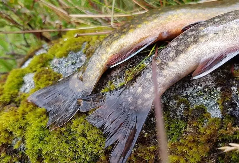 Majatalo Heddan Gard Gjestegard