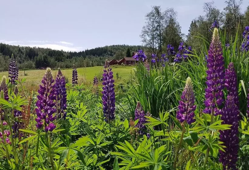 Majatalo Heddan Gard Gjestegard