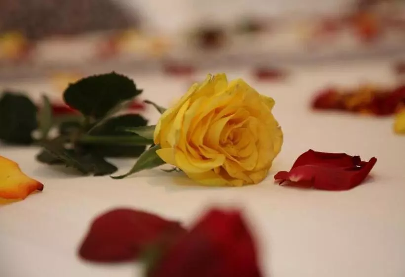 پانسیون Vamos Guest House