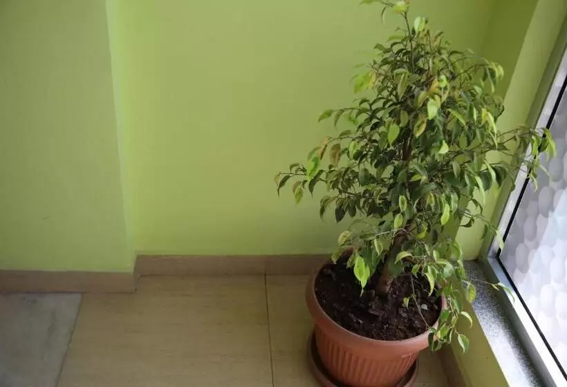 پانسیون Vamos Guest House