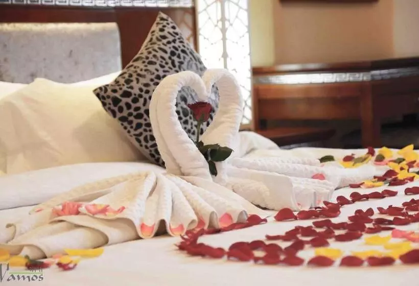 پانسیون Vamos Guest House