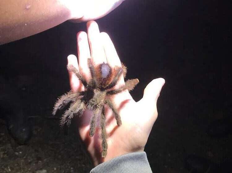 酒店 Grand Selva Lodge & Tours