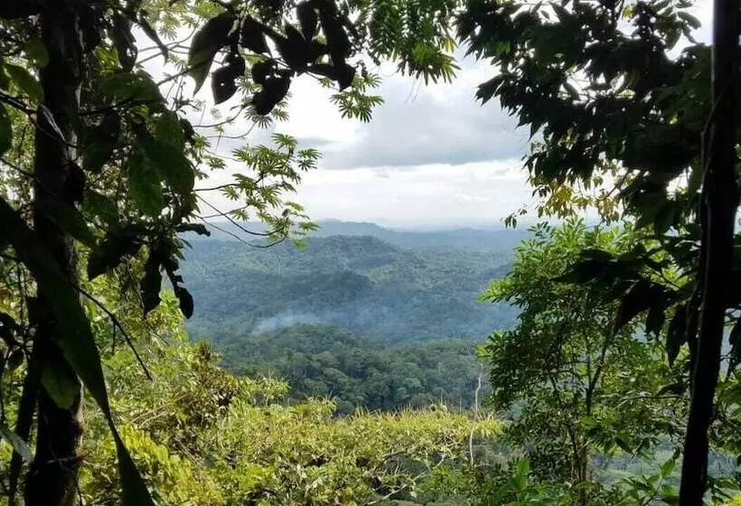 Hotelli Grand Selva Lodge & Tours