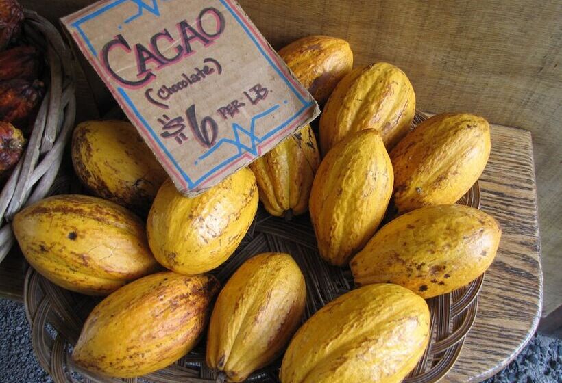 酒店 Grand Selva Lodge & Tours