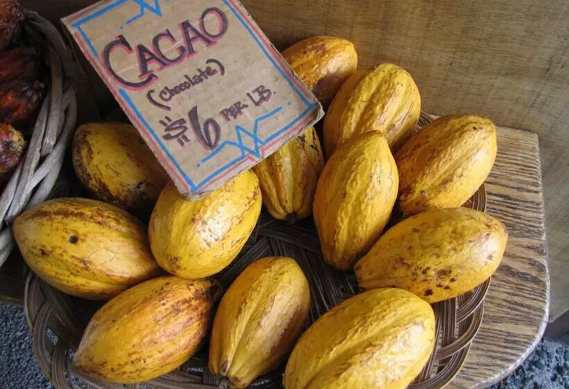 Hotelli Grand Selva Lodge & Tours