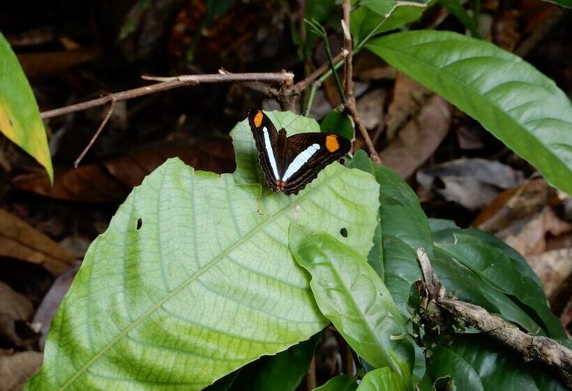 酒店 Grand Selva Lodge & Tours