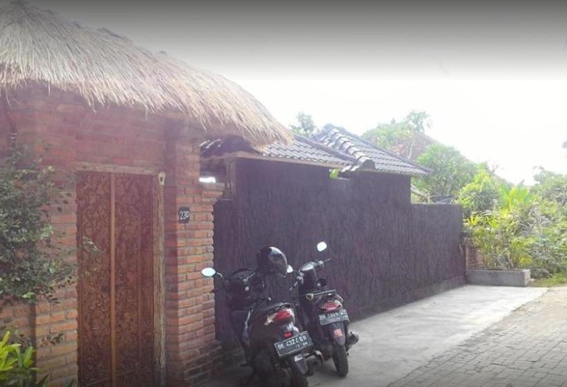 בית מלון כפרי Oyo 90540 Swan Guest House