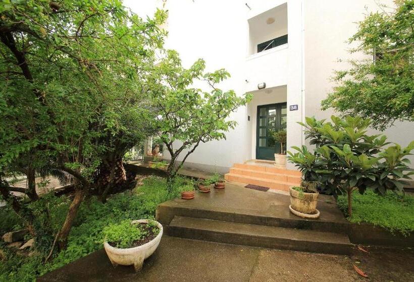 پانسیون Guest House Zenović