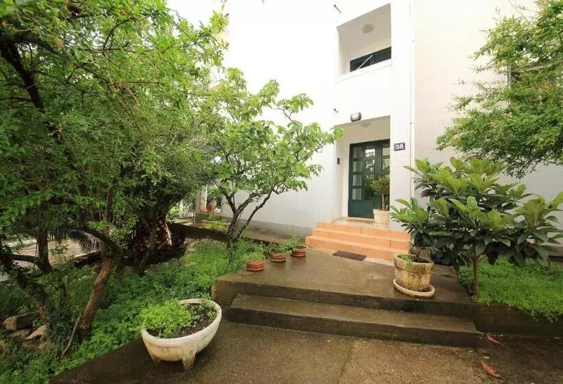 پانسیون Guest House Zenović