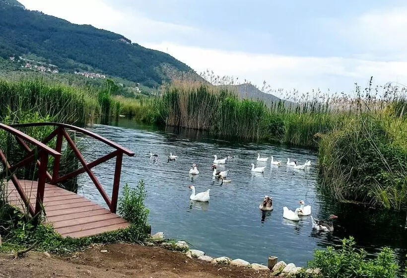 Santo Akyaka Home