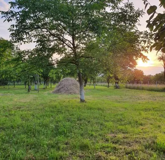 Retkeilymaja La Romaneasa