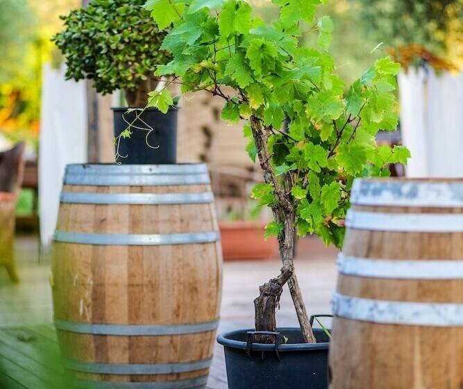 Nia Boutique Hotel By Rapo S Resort