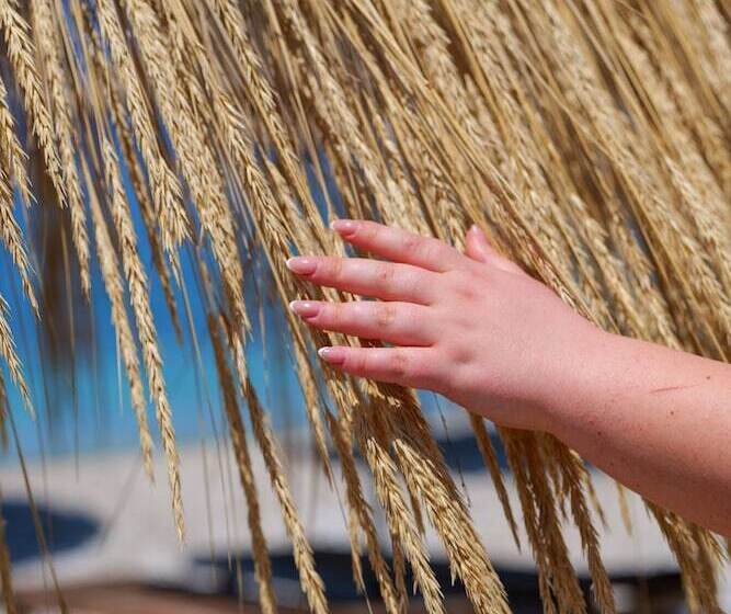 Nia Boutique Hotel By Rapo S Resort