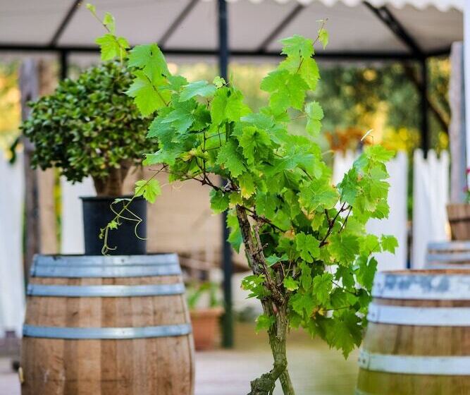 Nia Boutique Hotel By Rapo S Resort