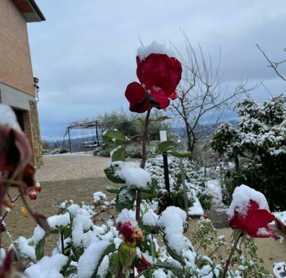 ペンション Podere Belsogno Camera Rosmarino