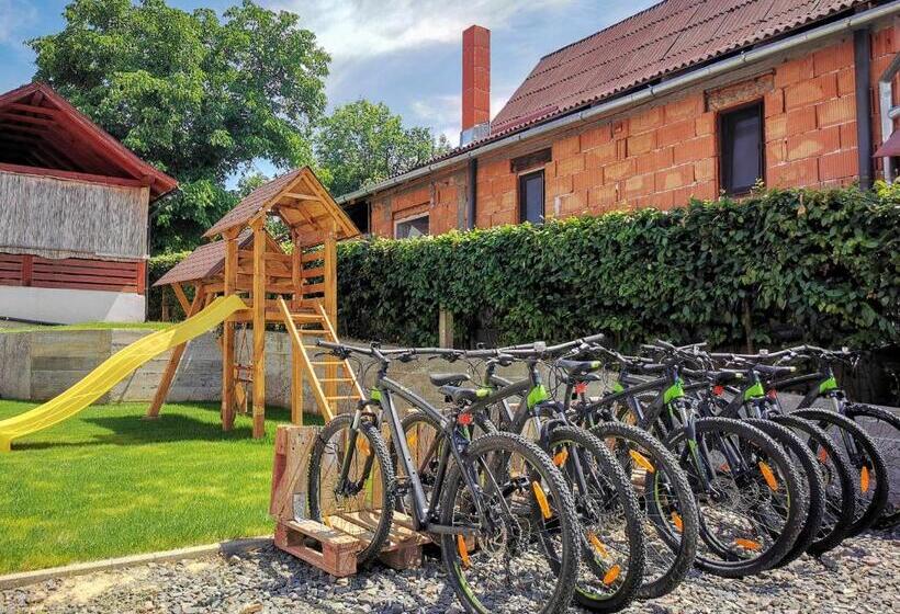 Pensiunea Ocna Maramuresului