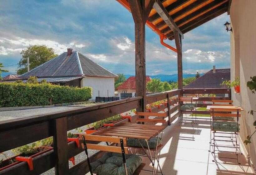 Pensiunea Ocna Maramuresului