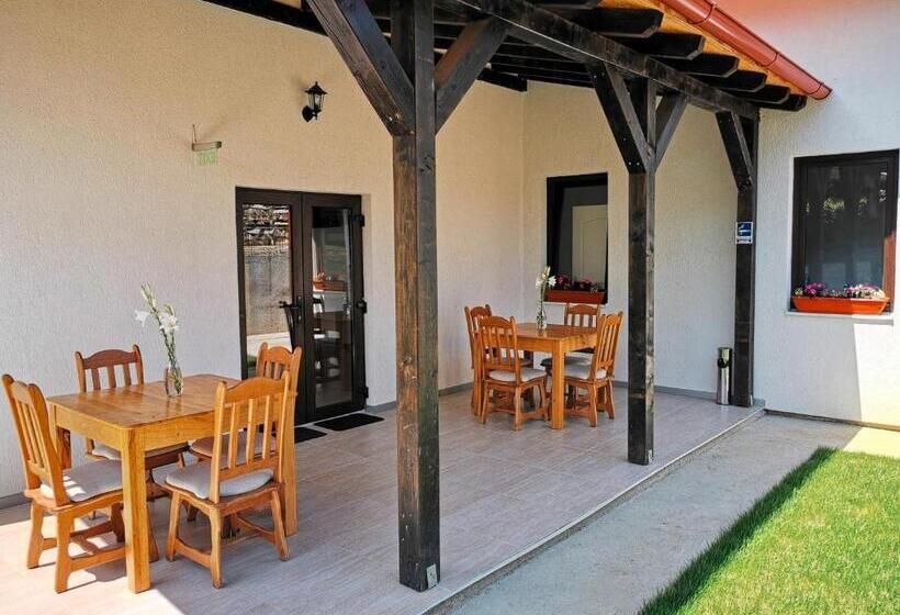 Pensiunea Ocna Maramuresului