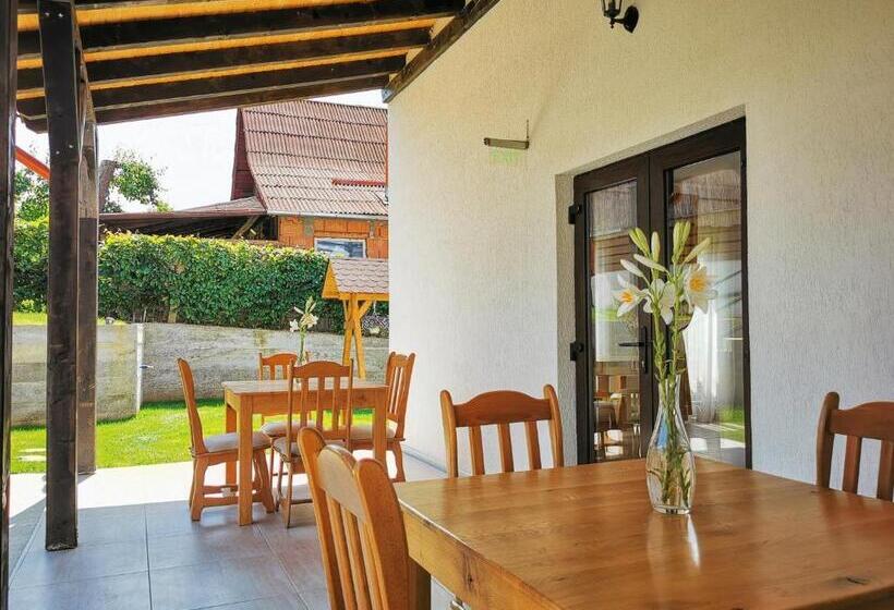 Pensiunea Ocna Maramuresului