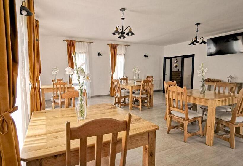 Pensiunea Ocna Maramuresului